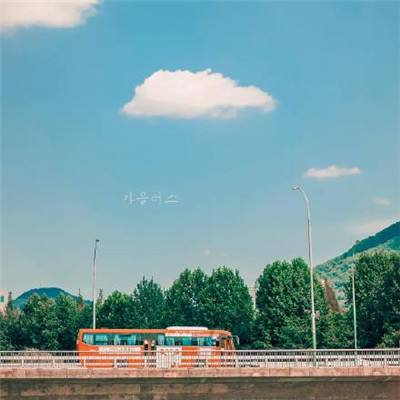 BOB·体育手机APP